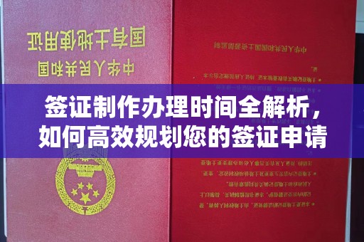 芦洲签证制作办理时间全解析，如何高效规划您的签证申请流程