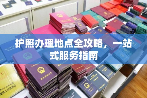 芦洲护照办理地点全攻略，一站式服务指南