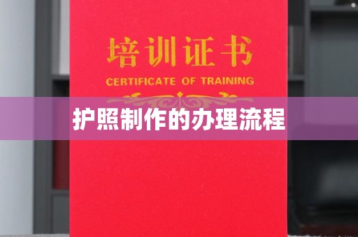 芦洲护照制作的办理流程