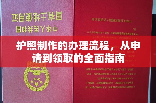 芦洲护照制作的办理流程，从申请到领取的全面指南