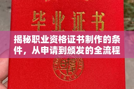芦洲揭秘职业资格证书制作的条件，从申请到颁发的全流程解析