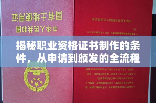 芦洲揭秘职业资格证书制作的条件，从申请到颁发的全流程解析