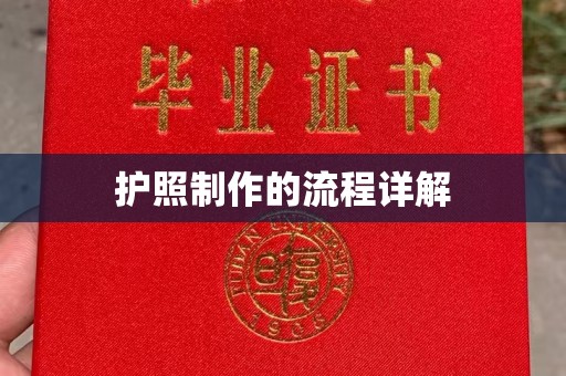 芦洲护照制作的流程详解