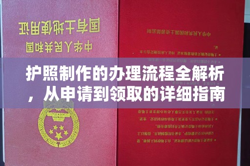 芦洲护照制作的办理流程全解析，从申请到领取的详细指南