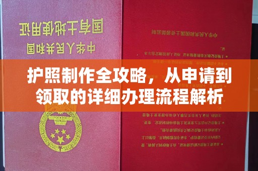 芦洲护照制作全攻略，从申请到领取的详细办理流程解析