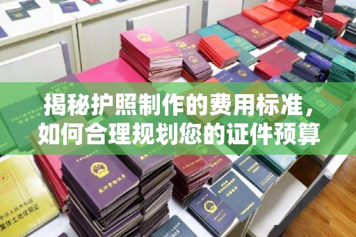 芦洲揭秘护照制作的费用标准，如何合理规划您的证件预算