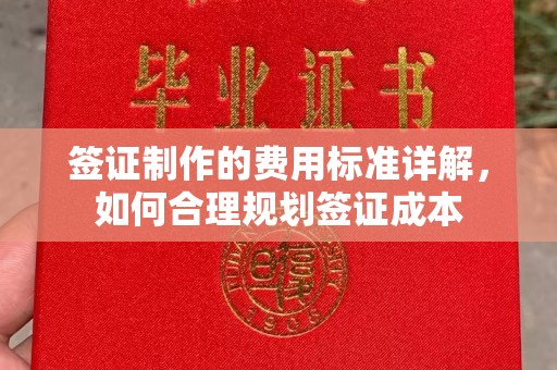 芦洲签证制作的费用标准详解，如何合理规划签证成本