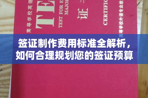 芦洲签证制作费用标准全解析，如何合理规划您的签证预算？